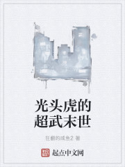 光头虎的超武