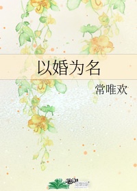 以婚为名小说
