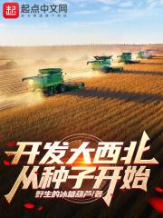开发大西北从