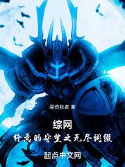 综网：终焉的