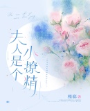 夫人是个小撩